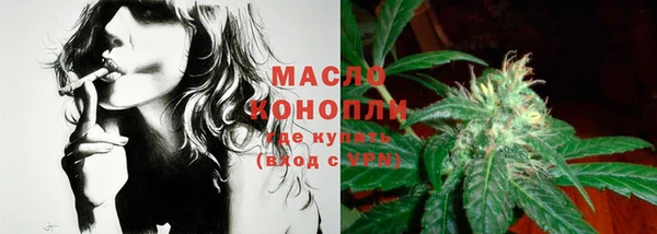 молекула духа Дмитриев